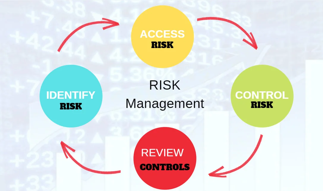 risk management